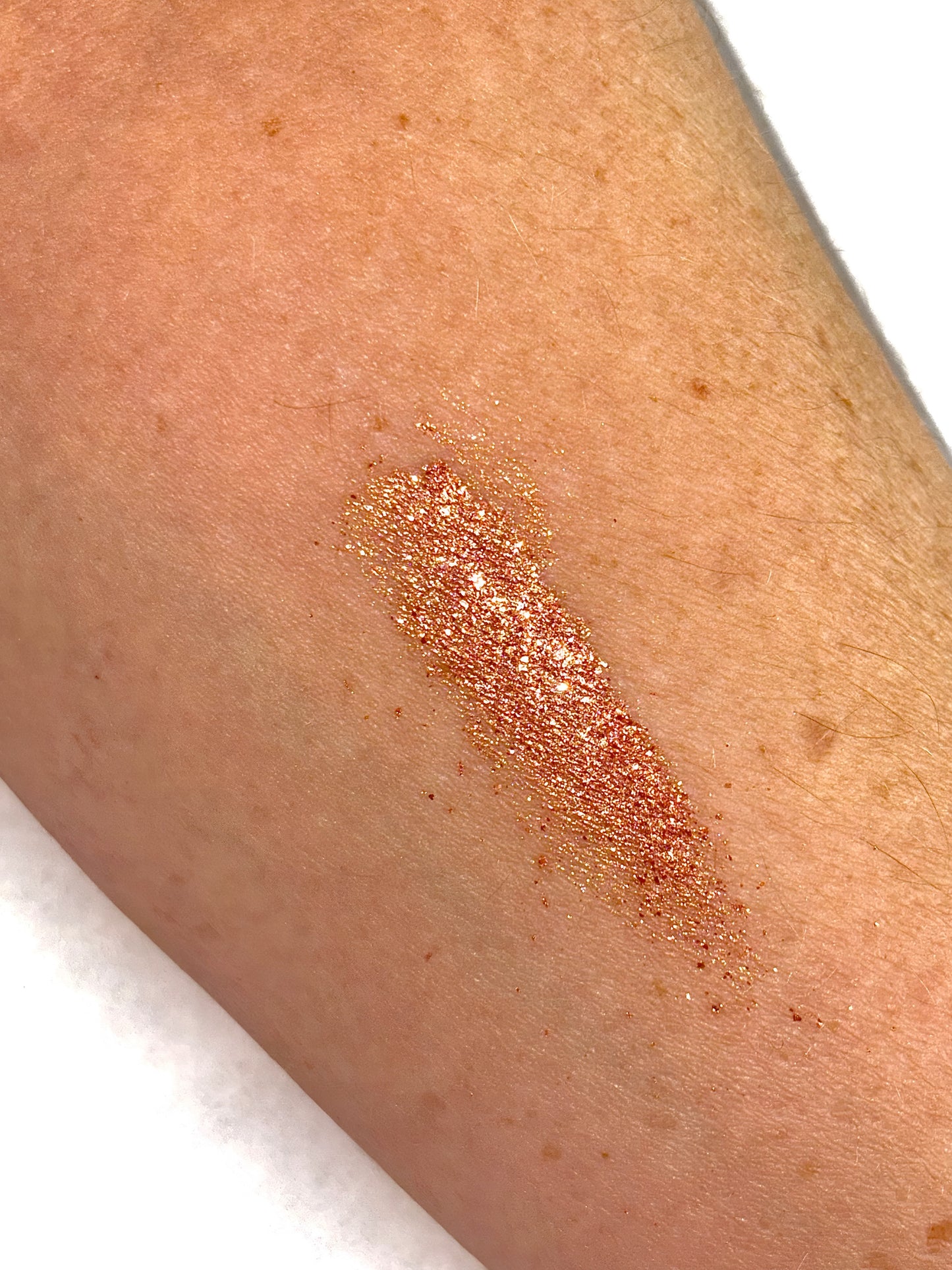 The Secret Sleigh Ride Set