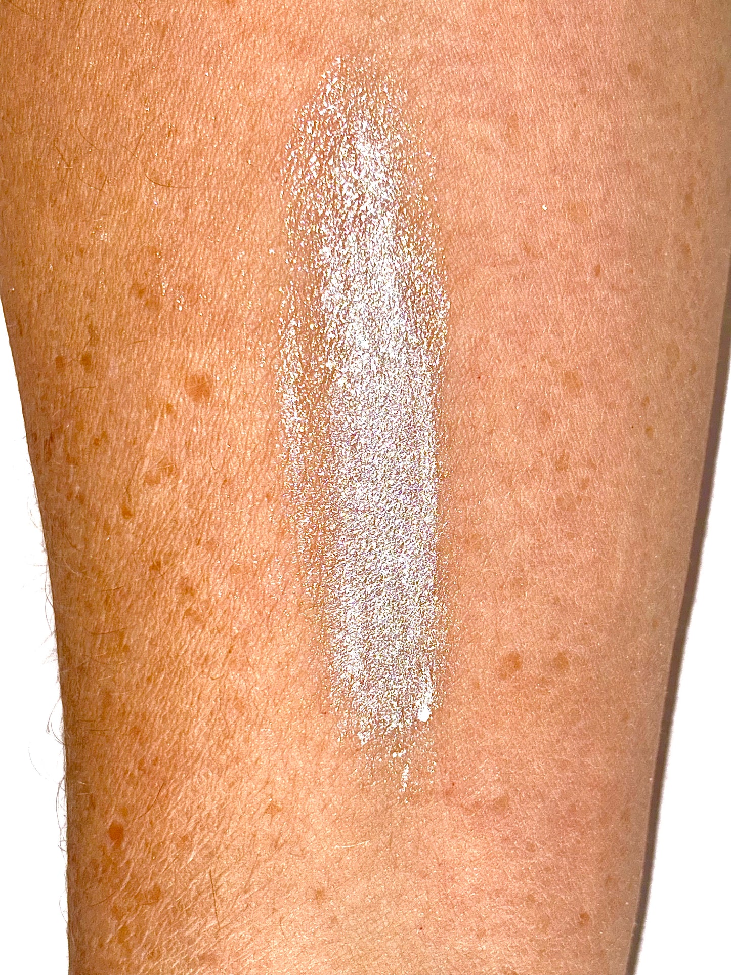 The Secret Sleigh Ride Set